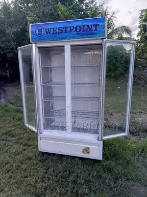 Display Fridge Kubwa