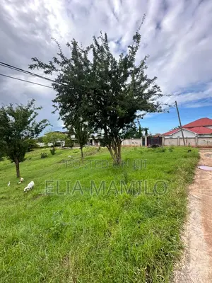 Eneo La Ekari 5 Linauzwa Mbezi Luguruni*