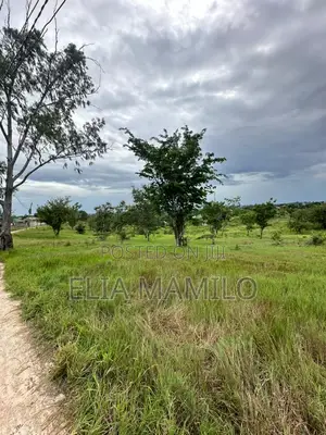 Eneo La Ekari 5 Linauzwa Mbezi Luguruni*