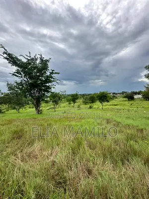 Eneo La Ekari 5 Linauzwa Mbezi Luguruni*