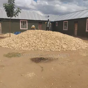 500 Acres Farm Estate for Sale