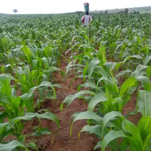 500 Acres Farm Estate for Sale