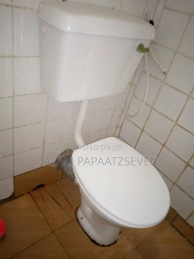 4bdrm House in Dalalipapaatzseven, Kijitonyama for rent