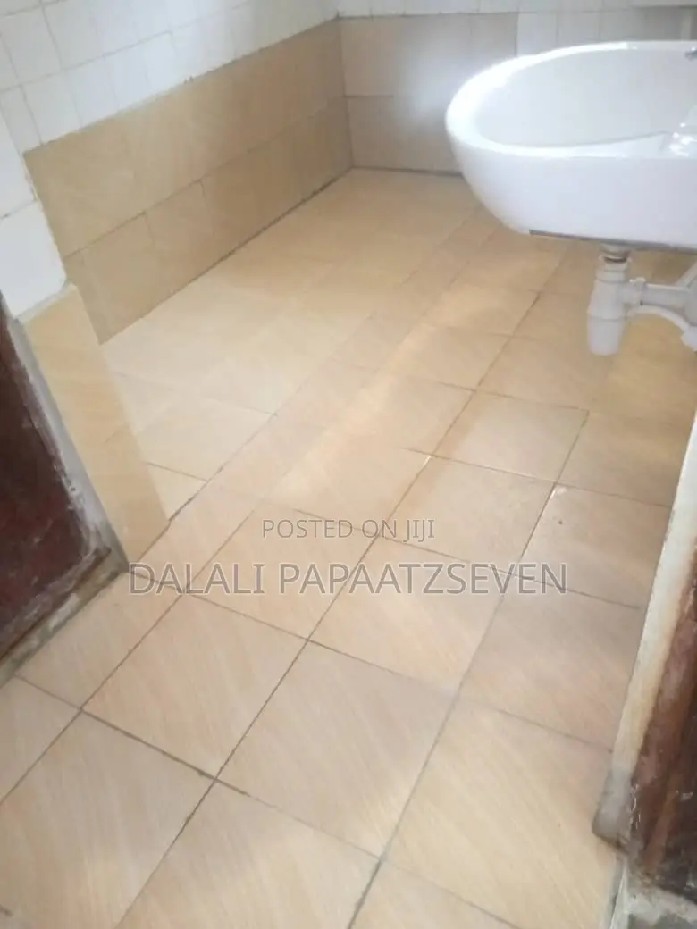 4bdrm House in Dalalipapaatzseven, Kijitonyama for rent