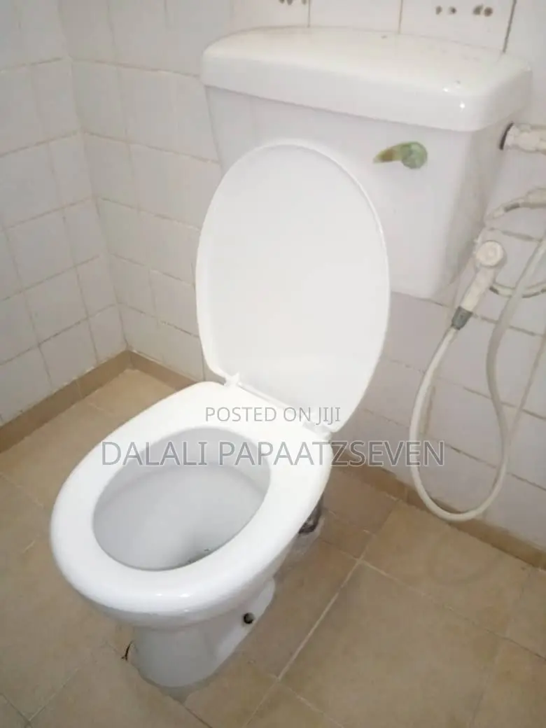 4bdrm House in Dalalipapaatzseven, Kijitonyama for rent