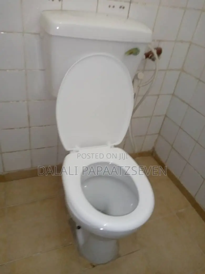4bdrm House in Dalalipapaatzseven, Kijitonyama for rent