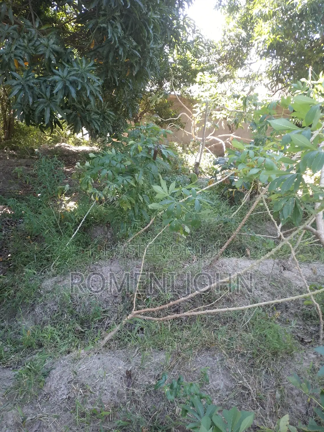 Kiwanja Sqmita 400 Kinauzwa Milioni 6.5 Majohe Chuo Rada .