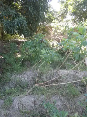 Kiwanja Sqmita 400 Kinauzwa Milioni 6.5 Majohe Chuo Rada .