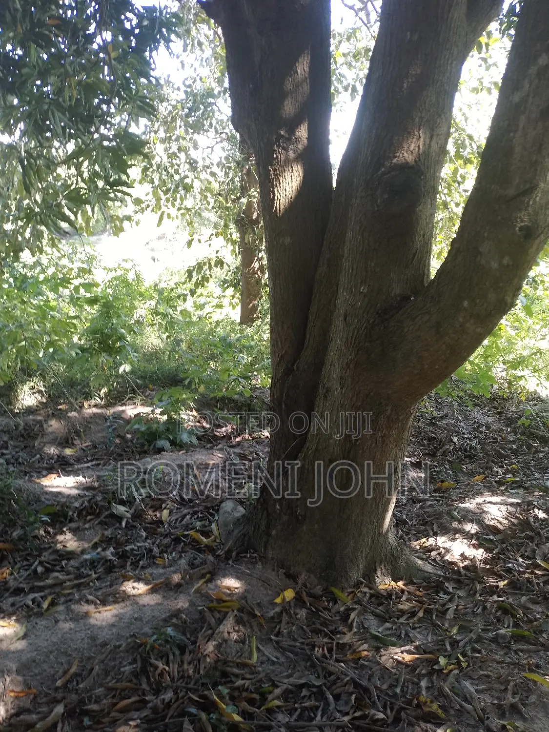 Kiwanja Sqmita 400 Kinauzwa Milioni 6.5 Majohe Chuo Rada .
