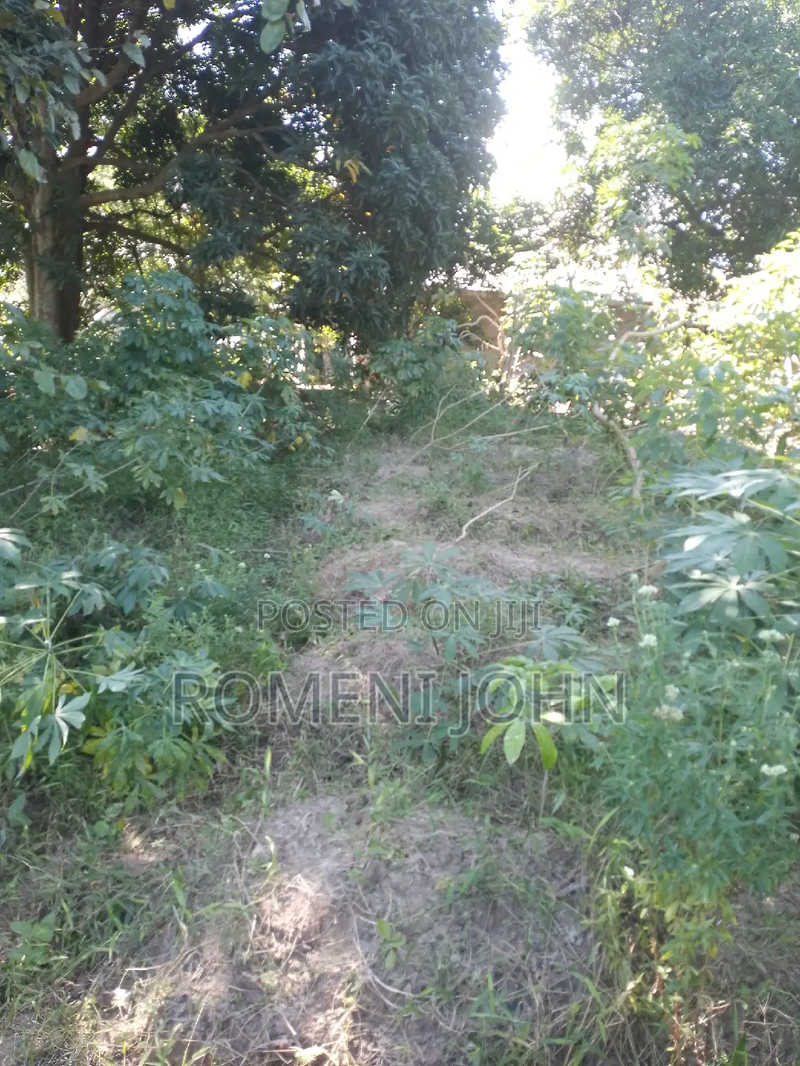 Kiwanja Sqmita 400 Kinauzwa Milioni 6.5 Majohe Chuo Rada .
