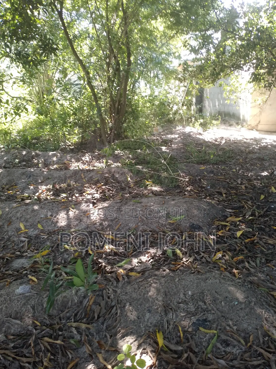 Kiwanja Sqmita 400 Kinauzwa Milioni 6.5 Majohe Chuo Rada .
