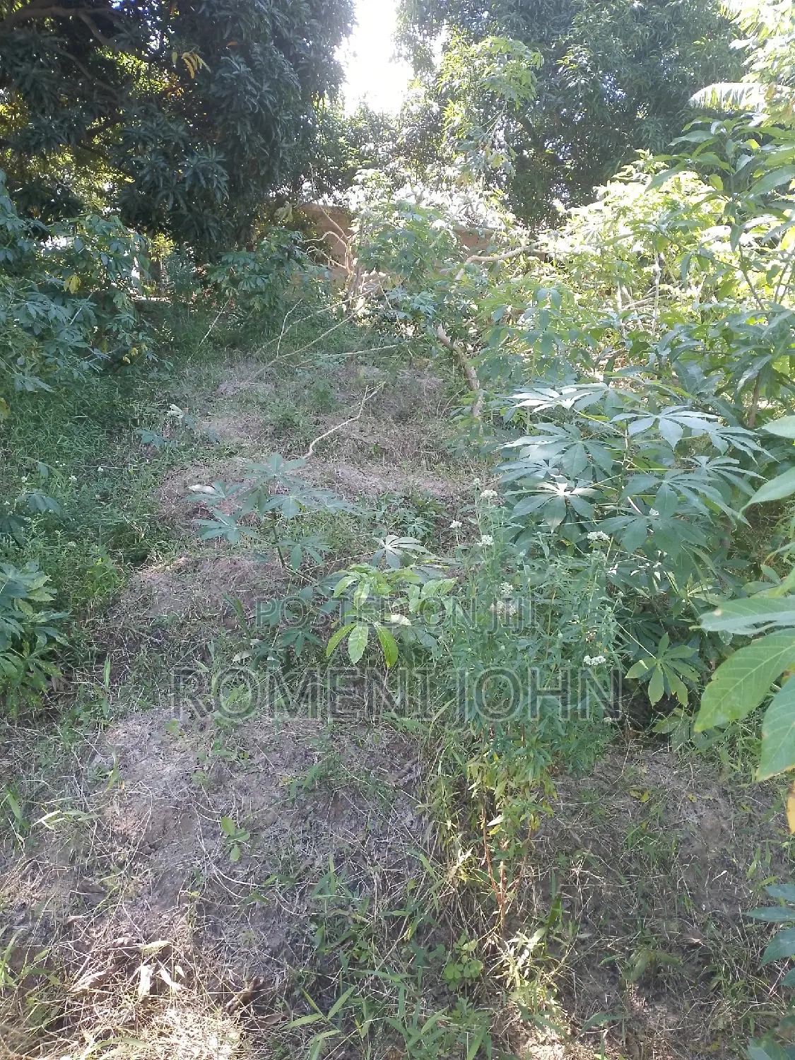 Kiwanja Sqmita 400 Kinauzwa Milioni 6.5 Majohe Chuo Rada .