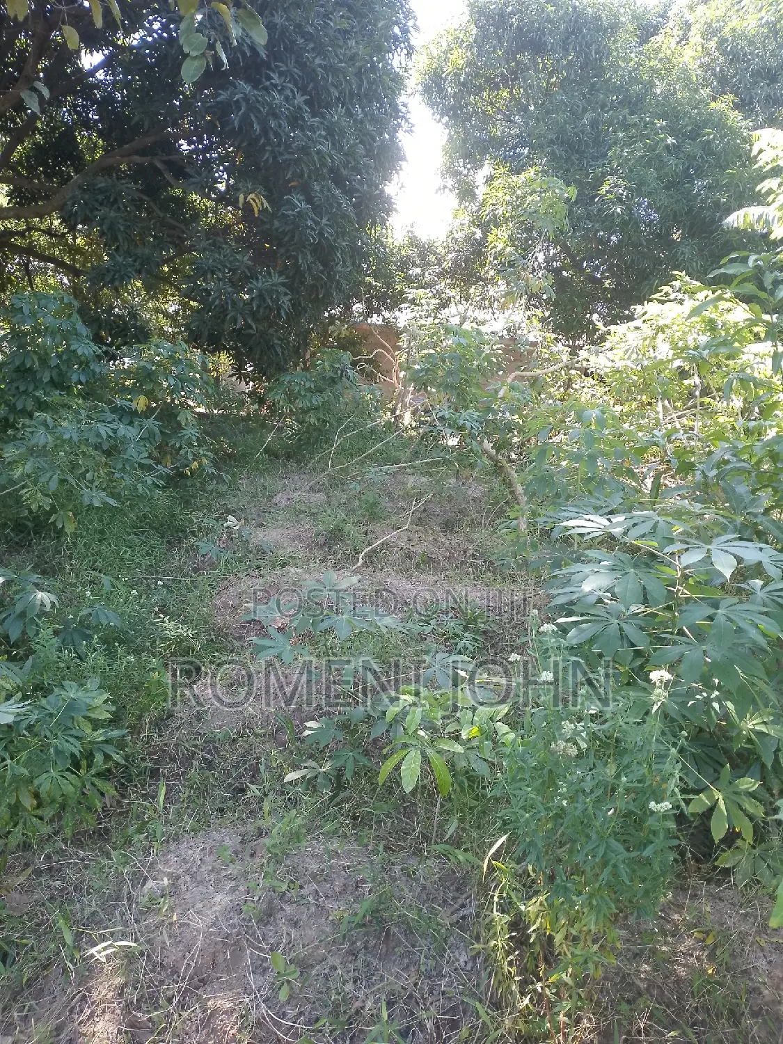 Kiwanja Sqmita 400 Kinauzwa Milioni 6.5 Majohe Chuo Rada .