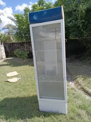 Display Fridge , West Point Lita 400