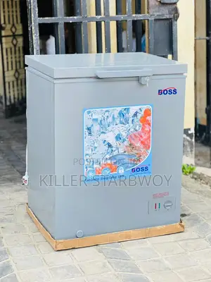 Freezer Lita 150 Litres