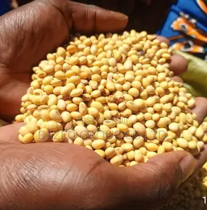 Soya Bean (Soya Lishe ) ,50kg