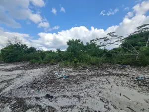 Beach Plot at Bagamoyo Kaole