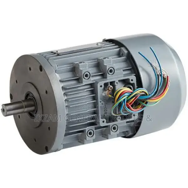 Meat Saw Motor (Spare Part for Meat Saw)
