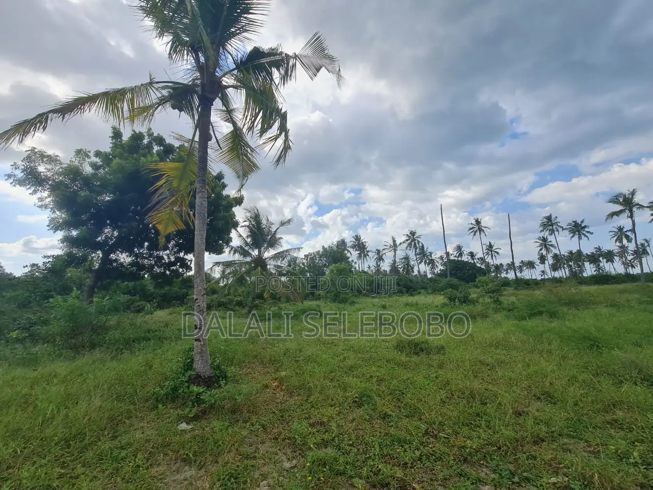 Beach Plot Hecta 9 at Bagamoyo Nunge