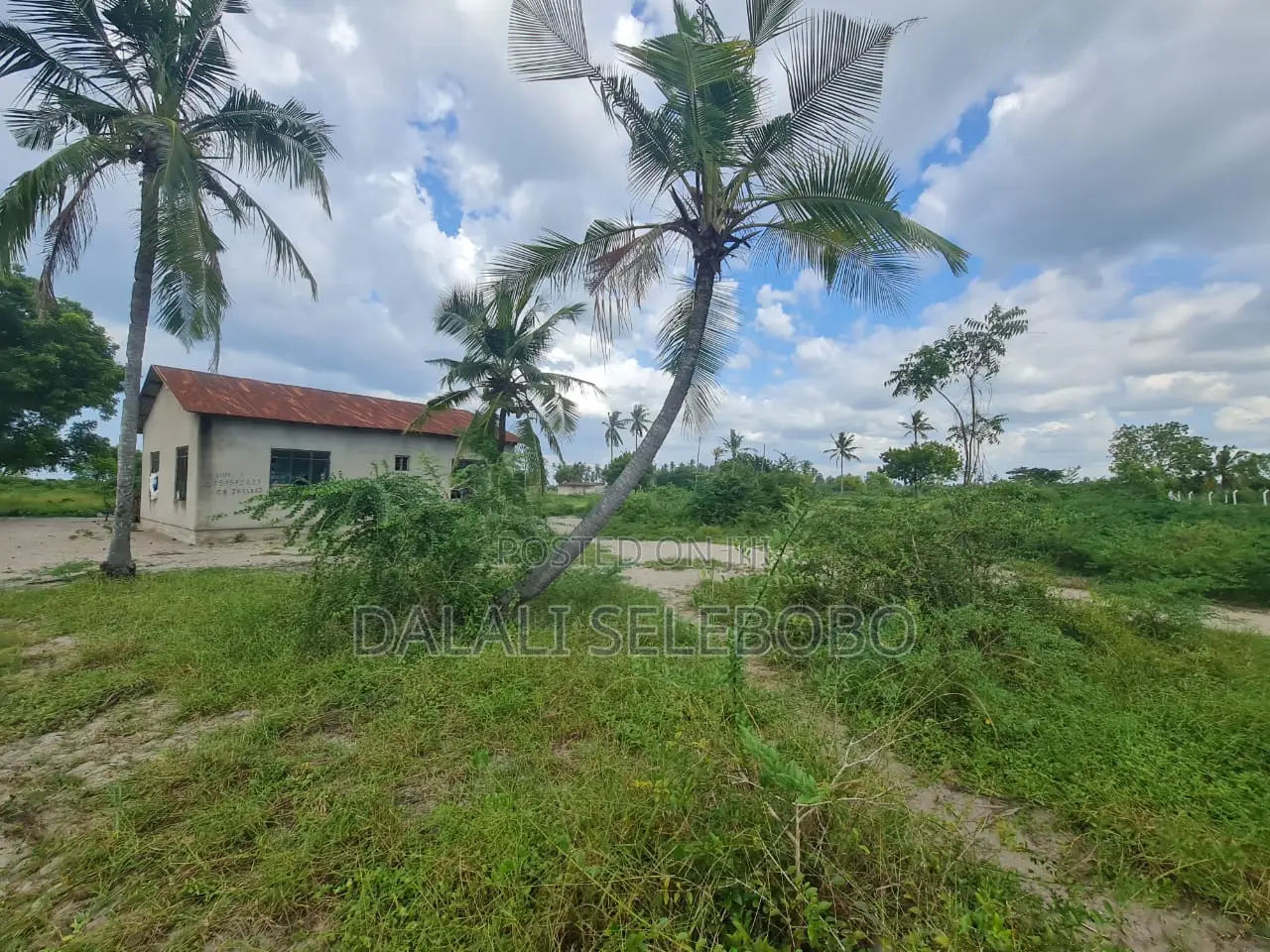 Beach Plot Hecta 9 at Bagamoyo Nunge