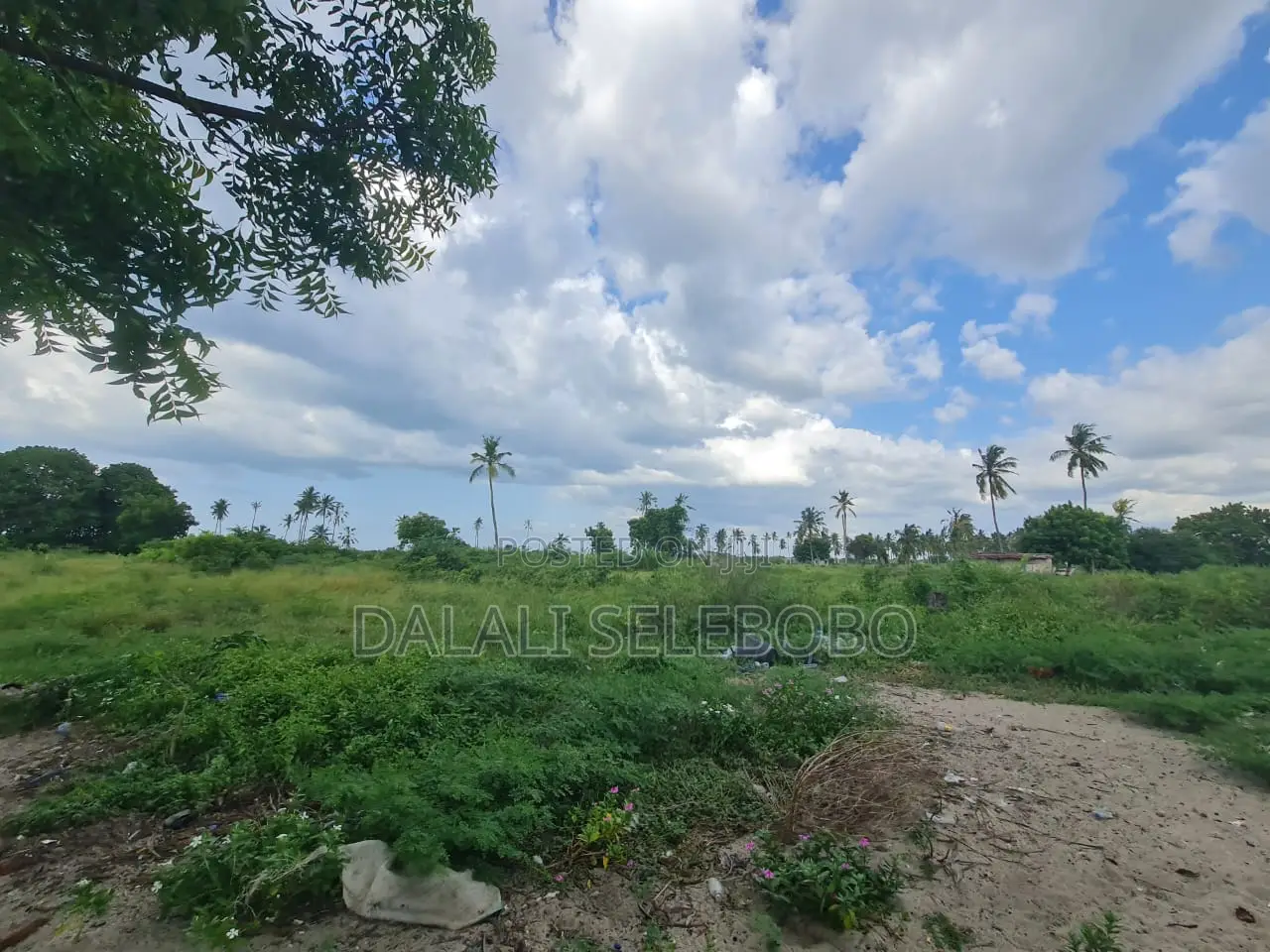 Beach Plot Hecta 9 at Bagamoyo Nunge