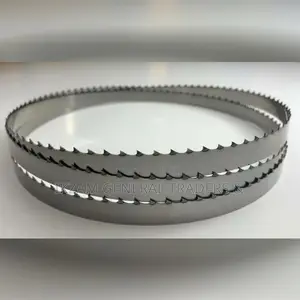 Meat Saw Blade 73"