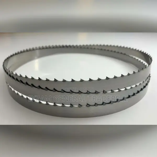 Meat Saw Blade 73"