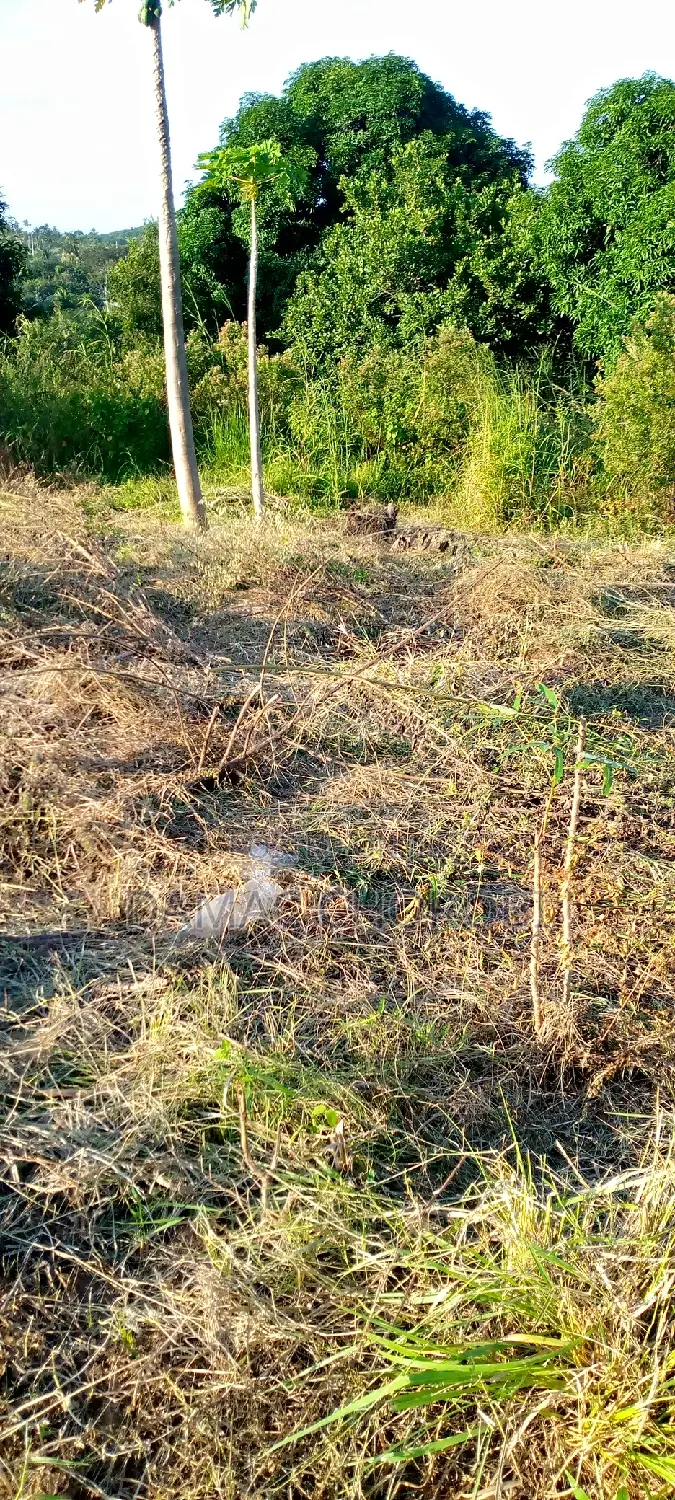 Eneo La Uwekezaji Linauzwa Arusha