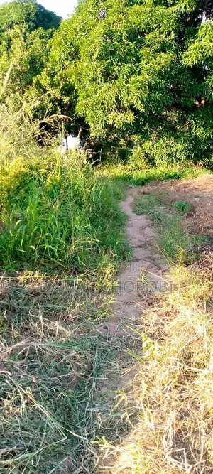 Eneo La Uwekezaji Linauzwa Arusha