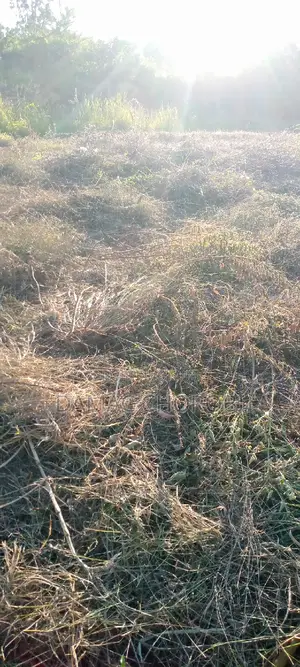 Eneo La Uwekezaji Linauzwa Arusha