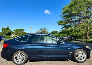 BMW 3 Series 2014 Blue