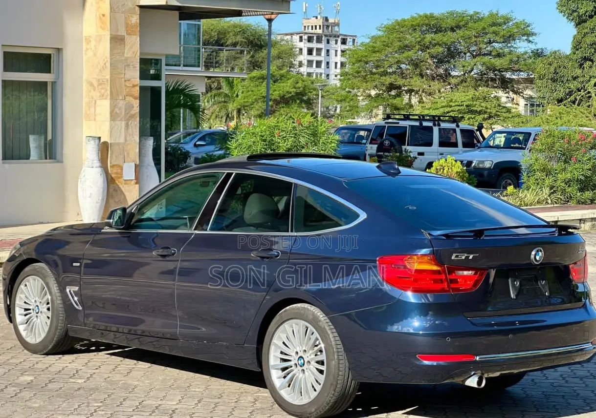 BMW 3 Series 2014 Blue