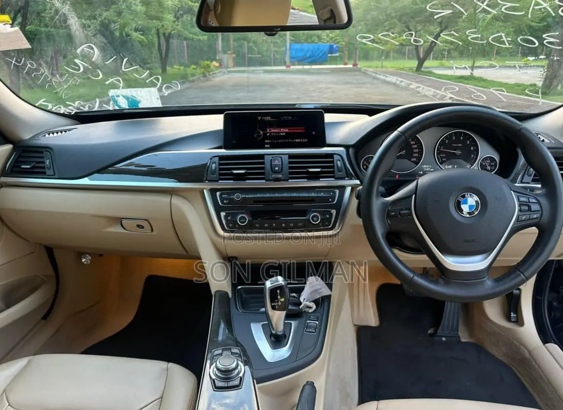 BMW 3 Series 2014 Blue