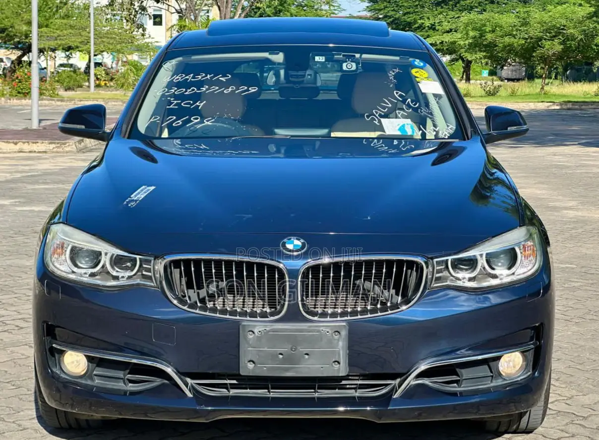 BMW 3 Series 2014 Blue