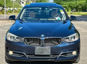 BMW 3 Series 2014 Blue