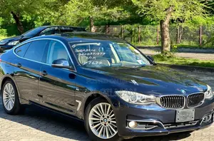 BMW 3 Series 2014 Blue