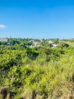 Plot Sale at Makongo Juu Pakubwa Sana