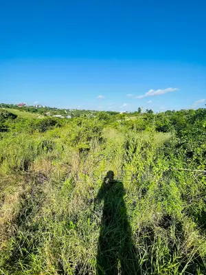Plot Sale at Makongo Juu Pakubwa Sana
