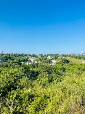 Plot Sale at Makongo Juu Pakubwa Sana