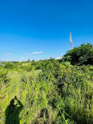 Plot Sale at Makongo Juu Pakubwa Sana