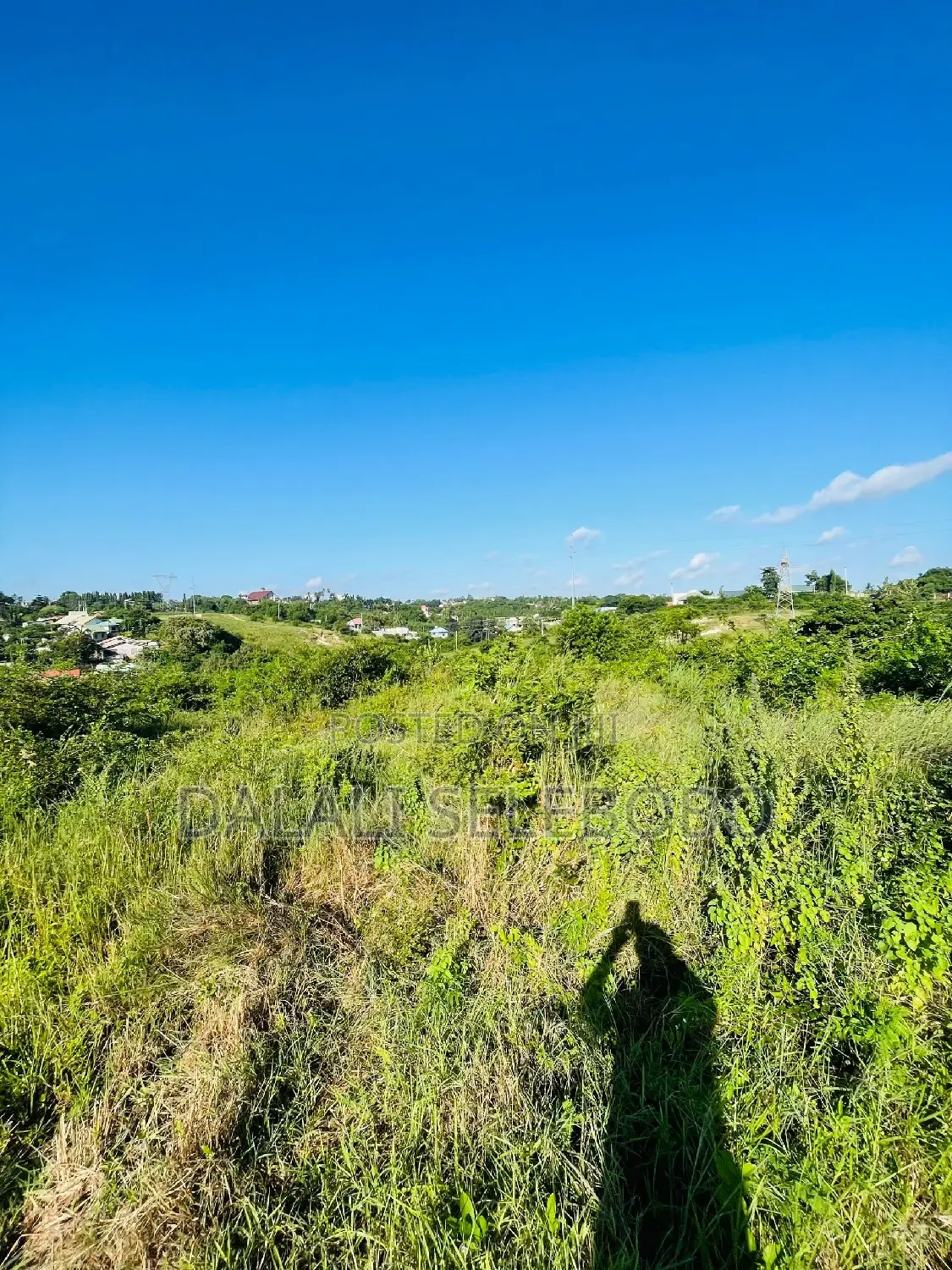 Plot Sale at Makongo Juu Pakubwa Sana