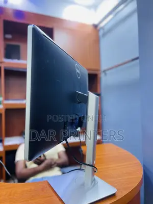 Dell Monitor Inch 24