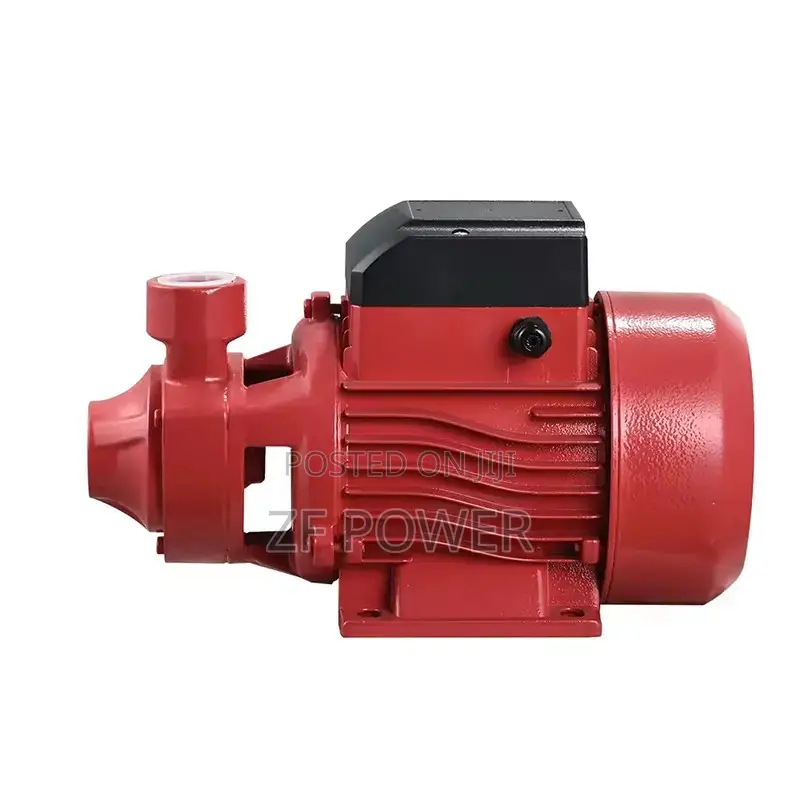 Surface Pump 0.5hp