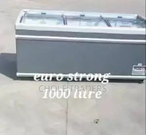 1000-Litres Commercial Heavy Duty Freezer