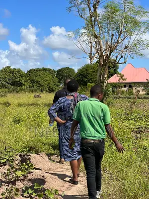 Kigamboni McHikichini