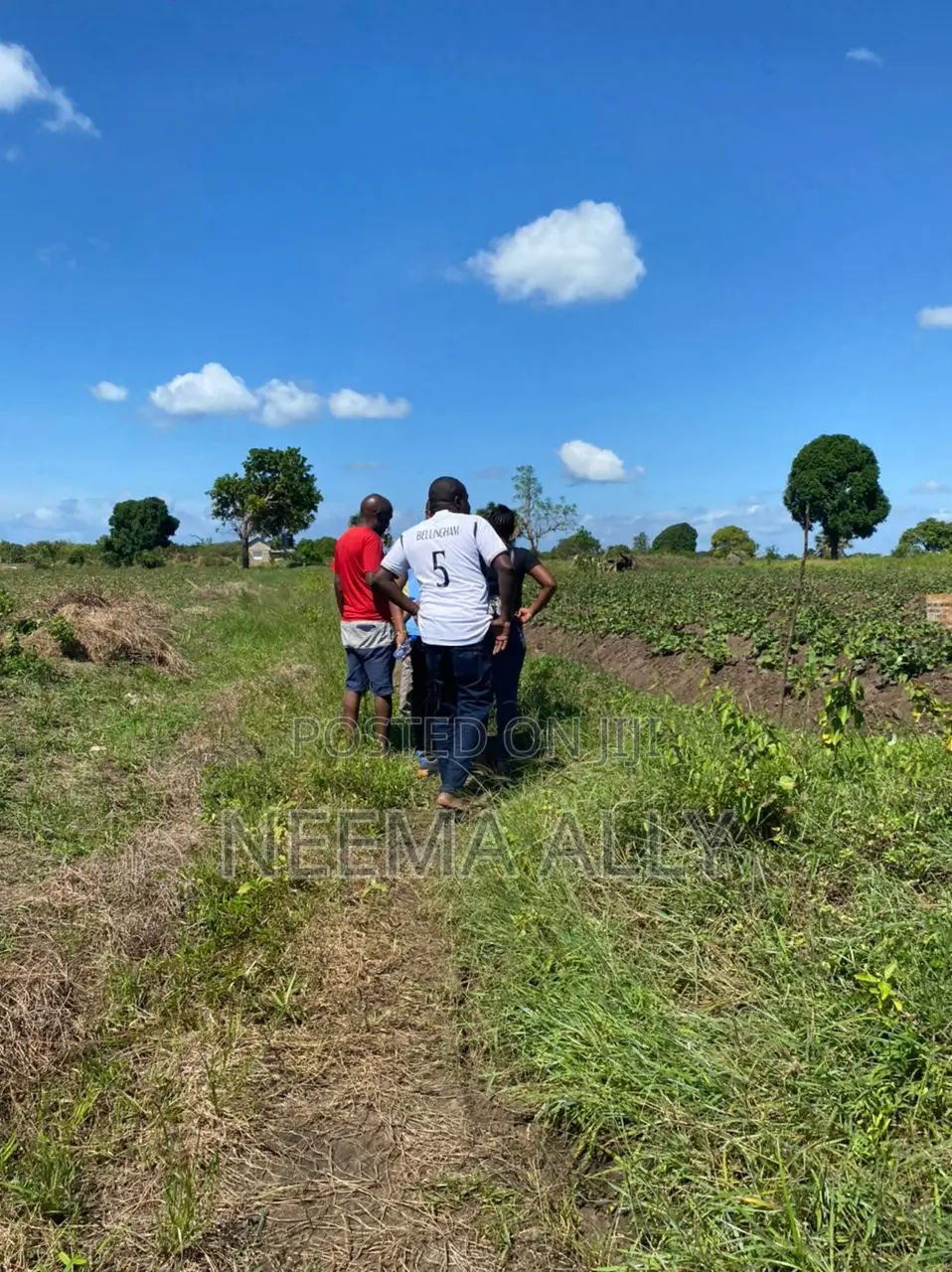 Cheka Kigamboni