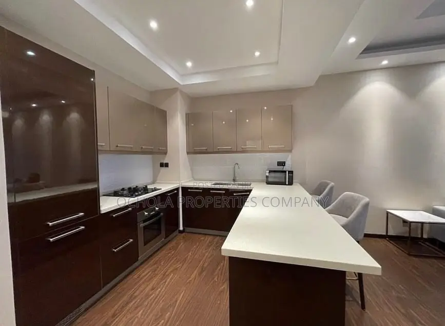 Furnished 1bdrm Penthouse in Masaki for rent