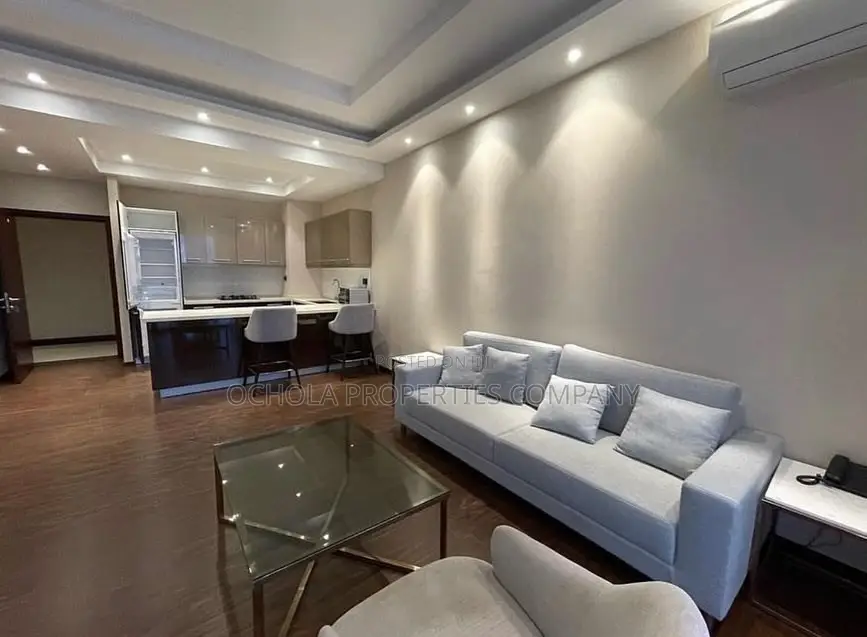 Furnished 1bdrm Penthouse in Masaki for rent