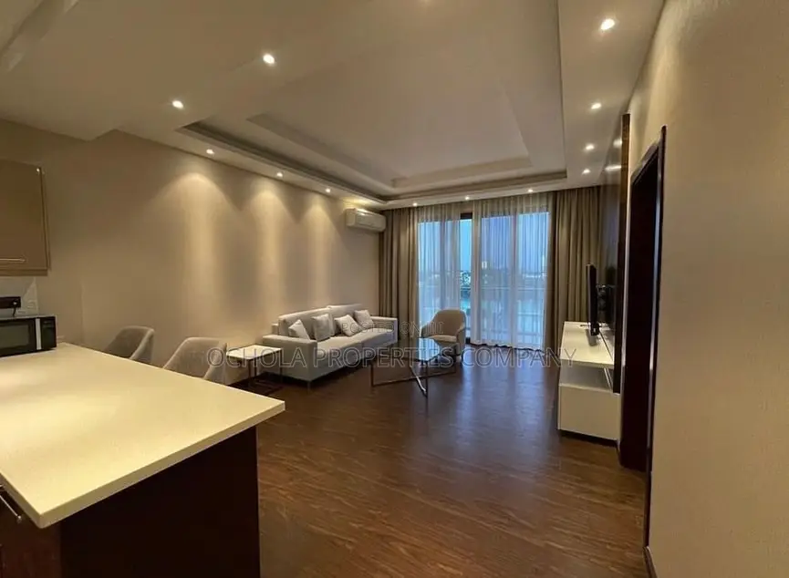 Furnished 1bdrm Penthouse in Masaki for rent