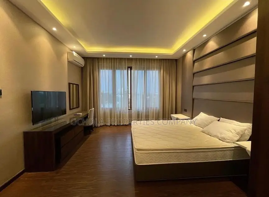 Furnished 1bdrm Penthouse in Masaki for rent